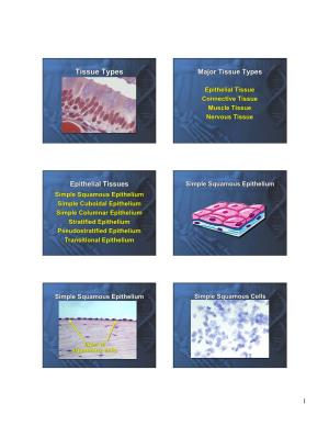 Tissue Types Major Tissue Types