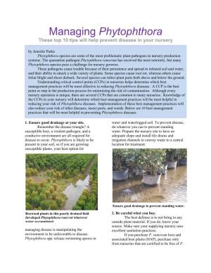 Managing Phytophthora These Top 10 Tips Will Help Prevent Disease in Your Nursery