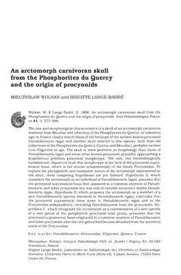 An Arctomorph Carnivoran Skull from the Phosphorites Du Quercy and the Origin of Procyonids