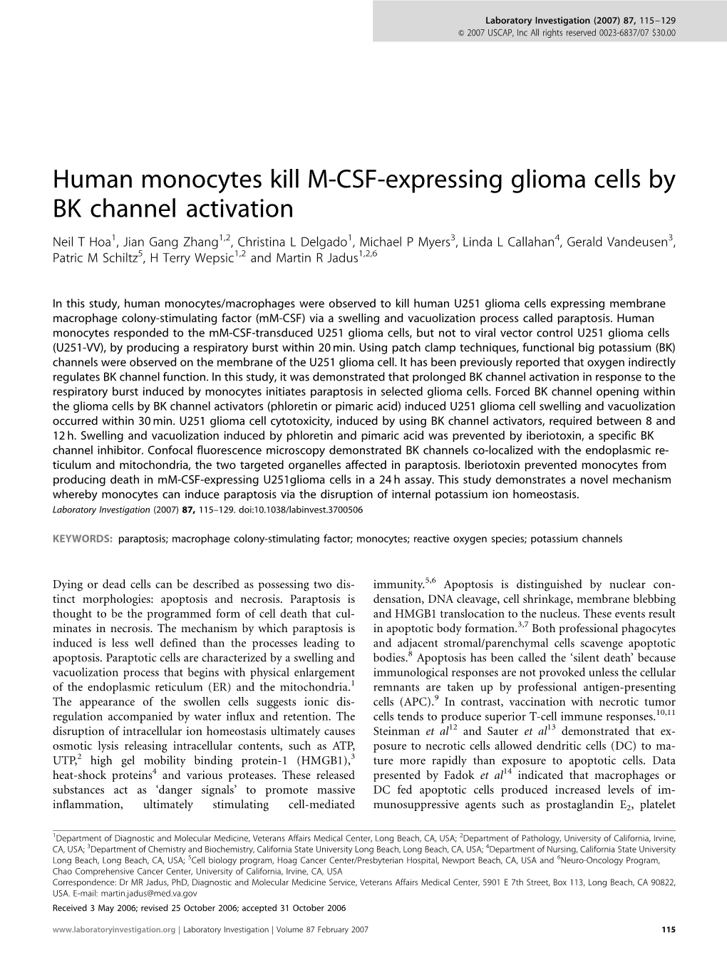 Human Monocytes Kill M-CSF-Expressing Glioma Cells By