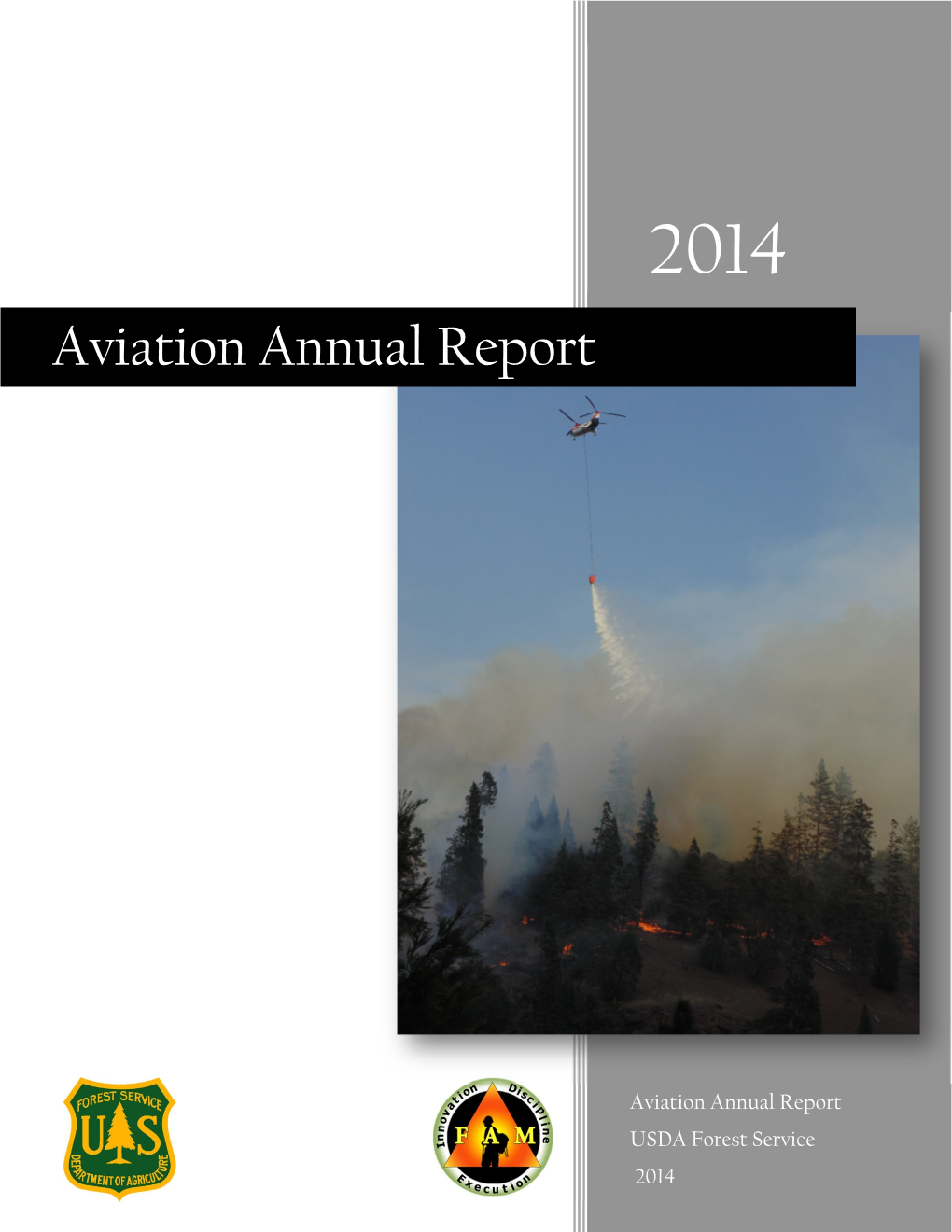 Aviation Annual Report