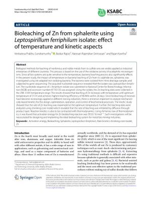 Bioleaching of Zn from Sphalerite Using Leptospirillum Ferriphilum Isolate