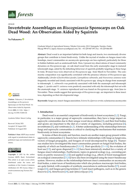 Invertebrate Assemblages on Biscogniauxia Sporocarps on Oak Dead Wood: an Observation Aided by Squirrels