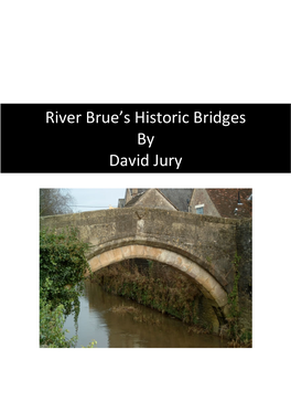 River Brue's Historic Bridges by David Jury