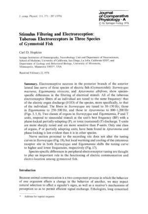 Tuberous Electroreceptors in Three Species of Gymnotoid Fish
