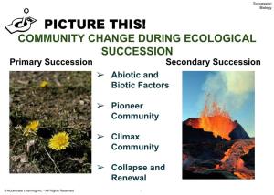 Community Change During Ecological Succession