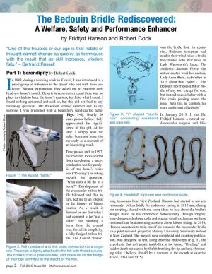The Bedouin Bridle Rediscovered: a Welfare, Safety and Performance Enhancer by Fridtjof Hanson and Robert Cook