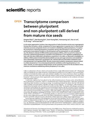 Transcriptome Comparison Between Pluripotent and Non-Pluripotent Calli Derived from Mature Rice Seeds