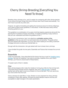 Cherry Shrimp Breeding [Everything You Need to Know]