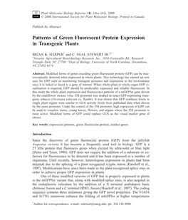 Patterns of Green Fluorescent Protein Expression in Transgenic Plants