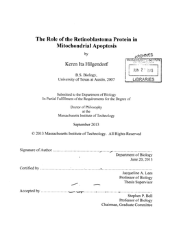 The Role of the Retinoblastoma Protein in Mitochondrial Apoptosis by (MASSACHUET INSTIT1TE Keren Ita Hilgendorf