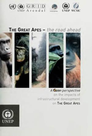 The Great Apes – the Road Ahead. a GLOBIO Perspective on the Impacts