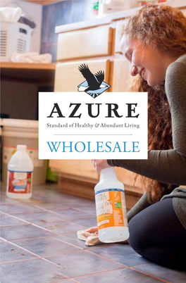 WHOLESALE Crystal Uses Azure Clean Stench-X for Laundry to Remove Tough Stains