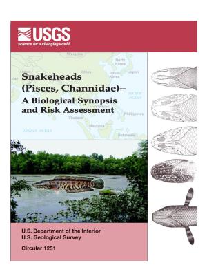 Snakeheadsnepal Pakistan − (Pisces,India Channidae) PACIFIC OCEAN a Biologicalmyanmar Synopsis Vietnam