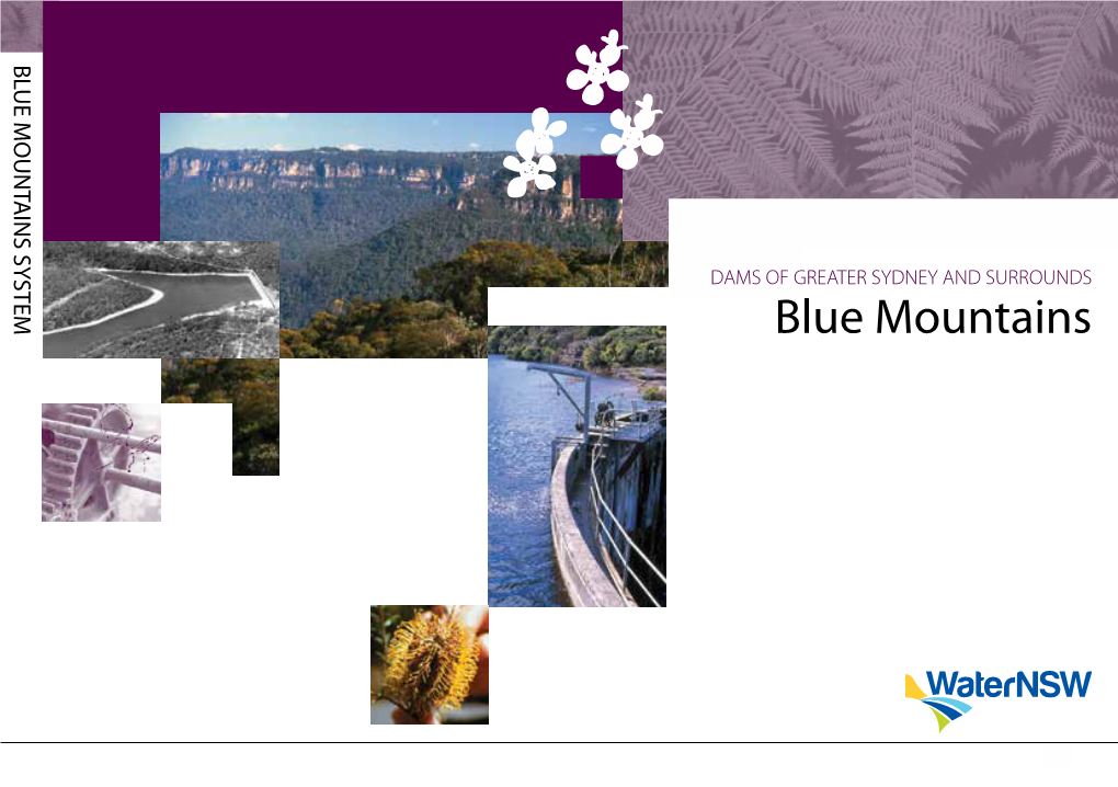 Blue Mountains Dams Booklet