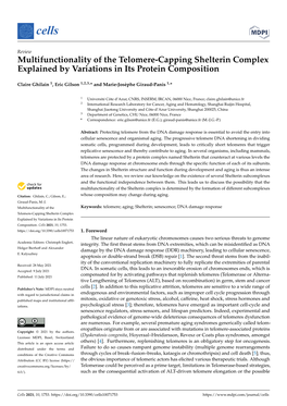 Multifunctionality of the Telomere-Capping Shelterin Complex Explained by Variations in Its Protein Composition