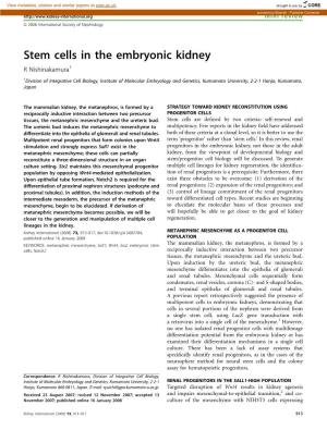 Stem Cells in the Embryonic Kidney R Nishinakamura1