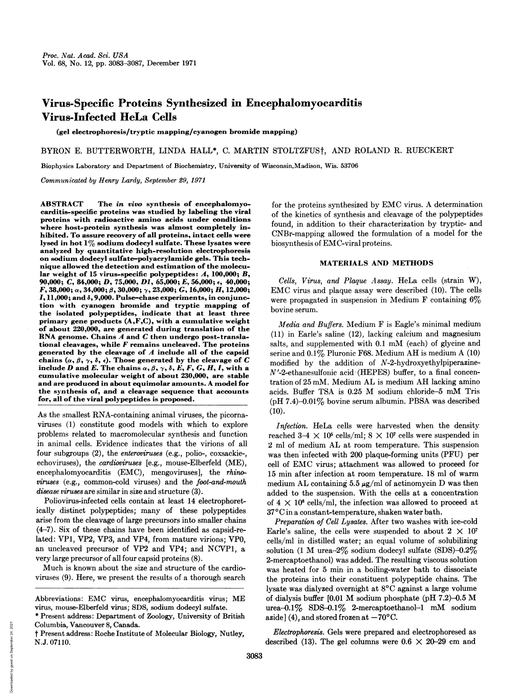 Virus-Infected Hela Cells (Gel Electrophoresis/Tryptic Mapping/Cyanogen Bromide Mapping) BYRON E