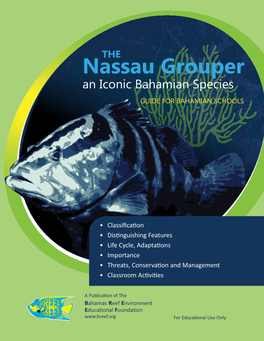 Nassau Grouper an Iconic Bahamian Species Guide for Bahamian Schools