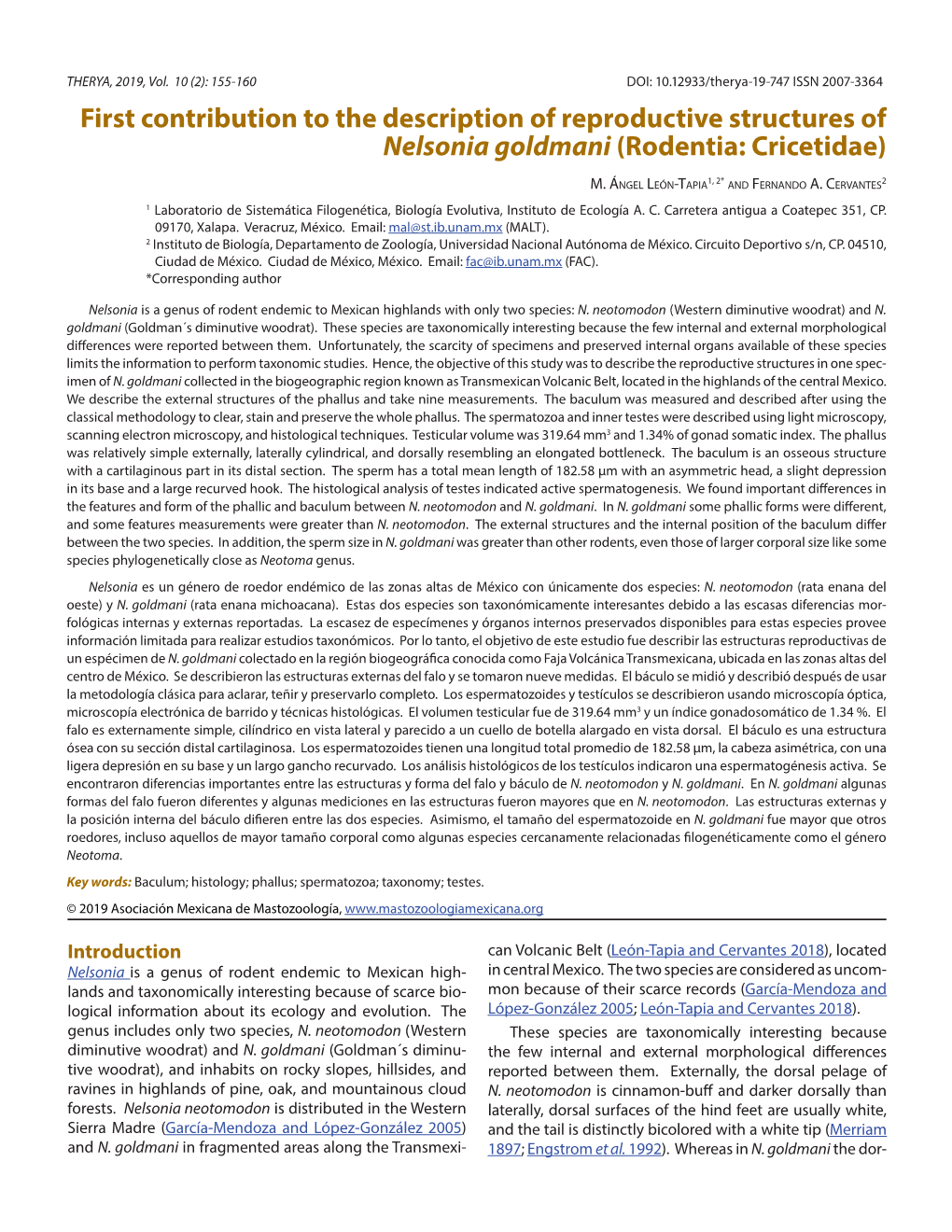 First Contribution to the Description of Reproductive Structures of Nelsonia Goldmani (Rodentia: Cricetidae)