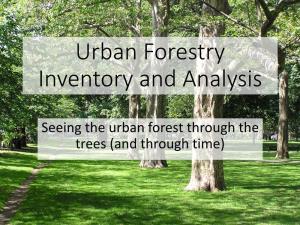 UFIA-Urban Forestry Now Joins the Group That Counts