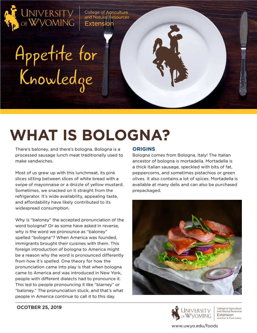 WHAT IS BOLOGNA? There’S Baloney, and There’S Bologna