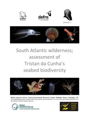 South Atlantic Wilderness; Assessment of Tristan Da Cunha's Seabed