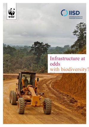 Infrastructure at Odds with Biodiversity? Policy Paper on Mainstreaming Biodiversity Conservation Into the Infrastructure Sector – CBD SBSTTA 21