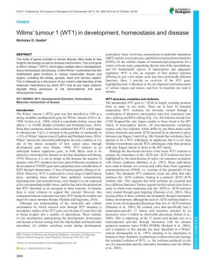 Wilms' Tumour 1 (WT1) in Development, Homeostasis and Disease