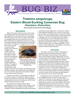 Triatoma Sanguisuga, Eastern Blood-Sucking Conenose Bug (Hemiptera: Reduviidae) Chris Carlton, Forest Huval and T.E