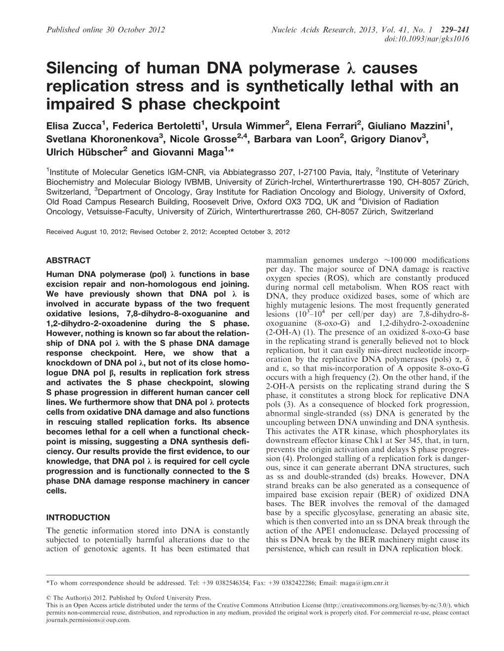 Silencing of Human DNA Polymerase J Causes Replication Stress and Is