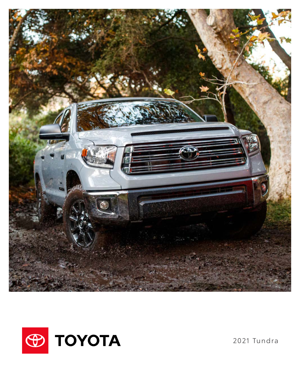 MY21 Tundra Ebrochure