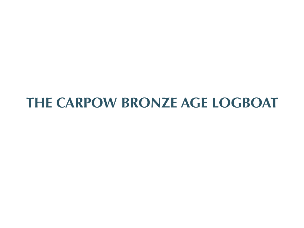 Carpow Logboat: Making and Using