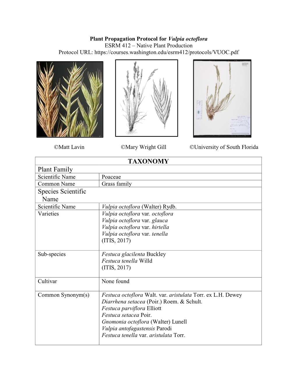 Draft Plant Propagation Protocol