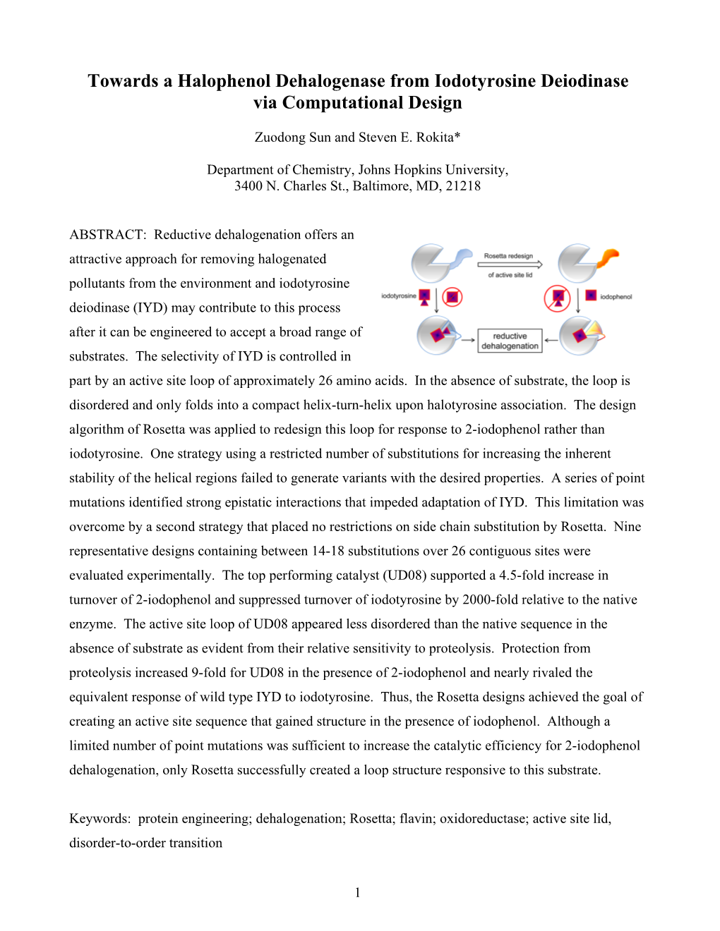 Towards a Halophenol Dehalogenase from Iodotyrosine Deiodinase Via Computational Design