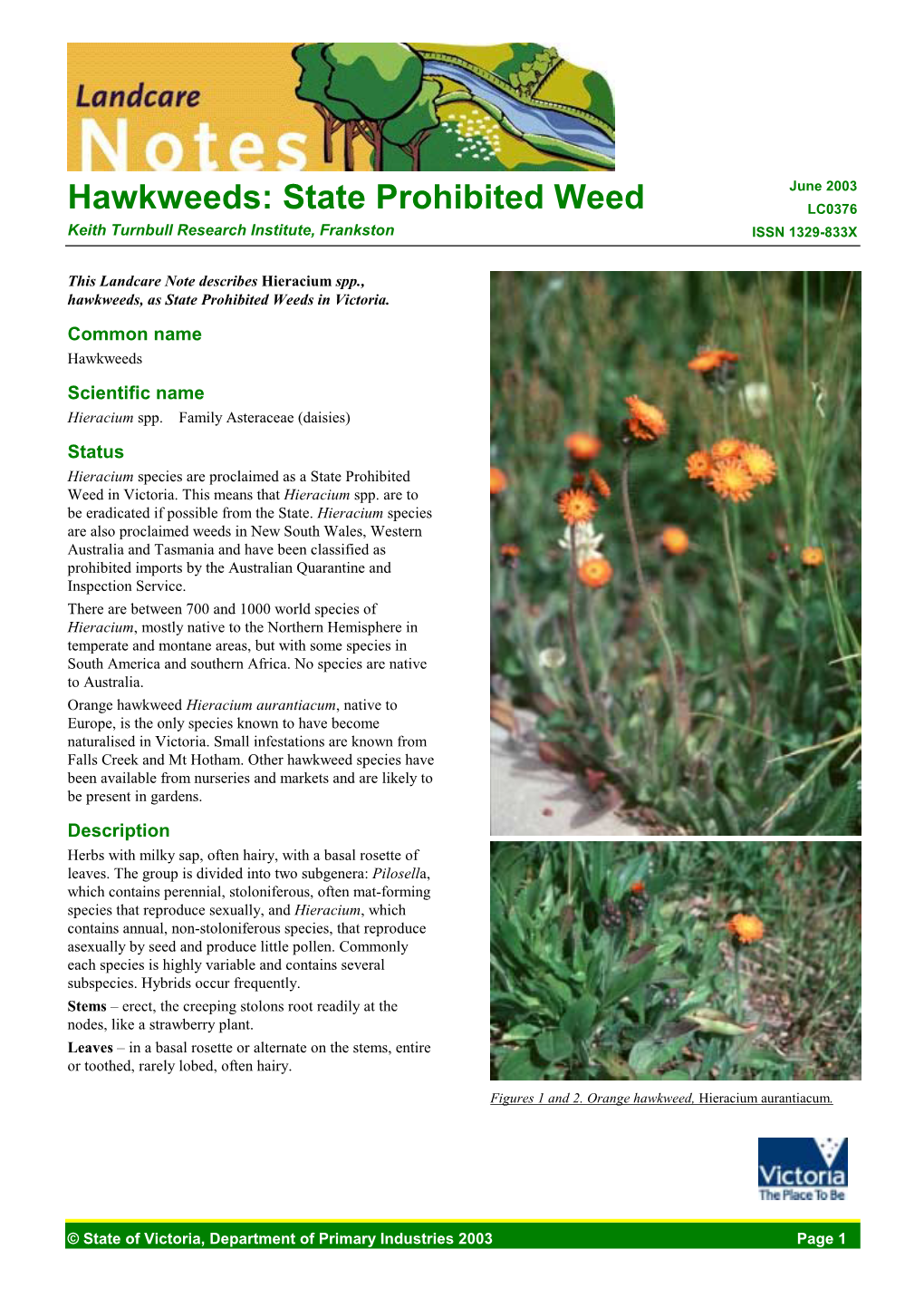 Hawkweeds: State Prohibited Weed (DPI Vic)