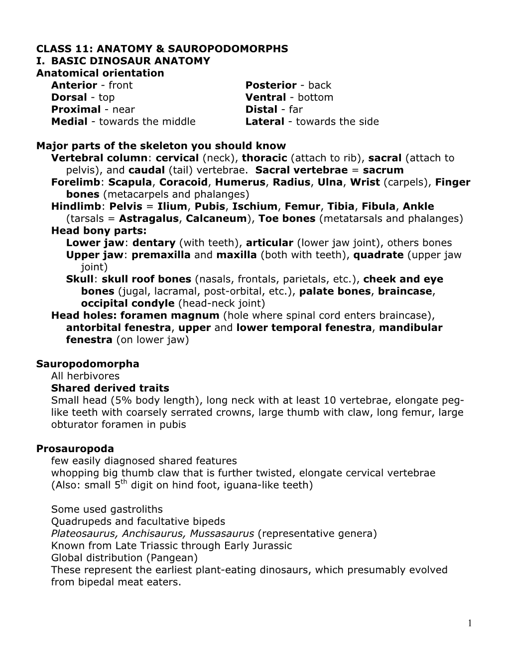 1 CLASS 11: ANATOMY & SAUROPODOMORPHS I. BASIC DINOSAUR ANATOMY Anatomical Orientation Anterior