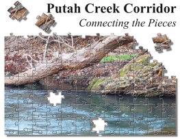 Putah Creek Corridor Connecting the Pieces