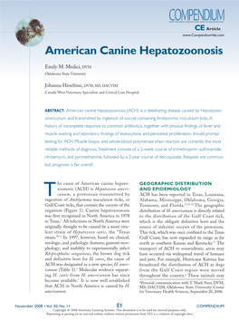 American Canine Hepatozoonosis