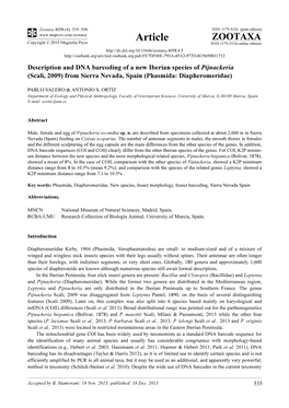 Description and DNA Barcoding of a New Iberian Species of Pijnackeria (Scali, 2009) from Sierra Nevada, Spain (Phasmida: Diapheromeridae)