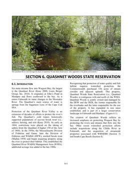 Section 6. Quashnet Woods State Reservation