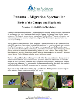 Panama ~ Migration Spectacular Birds of the Canopy and Highlands