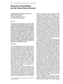 Plexina1 Autoinhibition by the Plexin Sema Domain