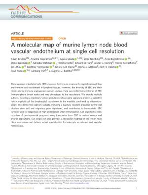 A Molecular Map of Murine Lymph Node Blood Vascular Endothelium at Single Cell Resolution