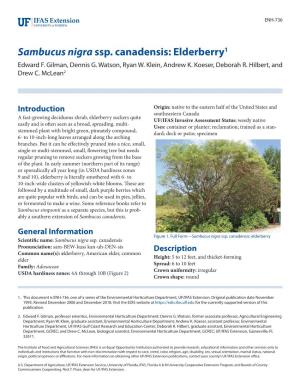 Sambucus Nigra Ssp. Canadensis: Elderberry1 Edward F