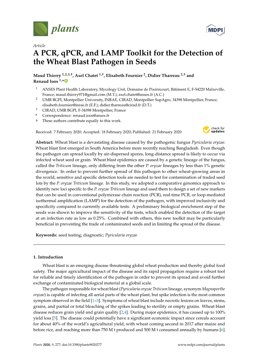 A PCR, Qpcr, and LAMP Toolkit for the Detection of the Wheat Blast Pathogen in Seeds