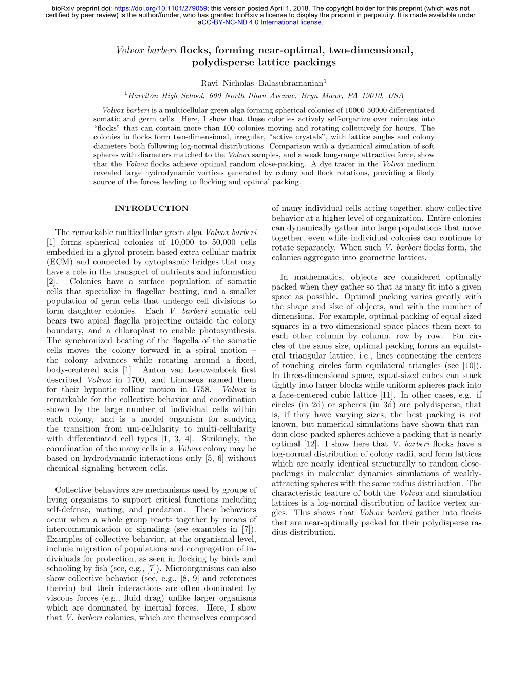 Volvox Barberi Flocks, Forming Near-Optimal, Two-Dimensional