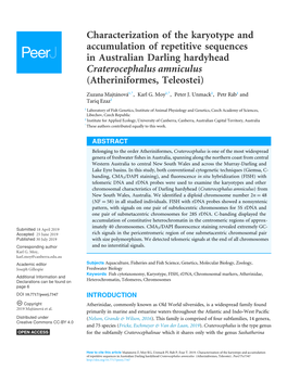 Characterization of the Karyotype and Accumulation of Repetitive Sequences in Australian Darling Hardyhead Craterocephalus Amniculus (Atheriniformes, Teleostei)