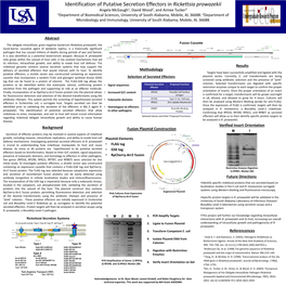 Rickettsia Prowazekii Angela Mcgaugh1, David Wood2, and Aimee Tucker2 1Department of Biomedical Sciences, University of South Alabama, Mobile, AL 36688