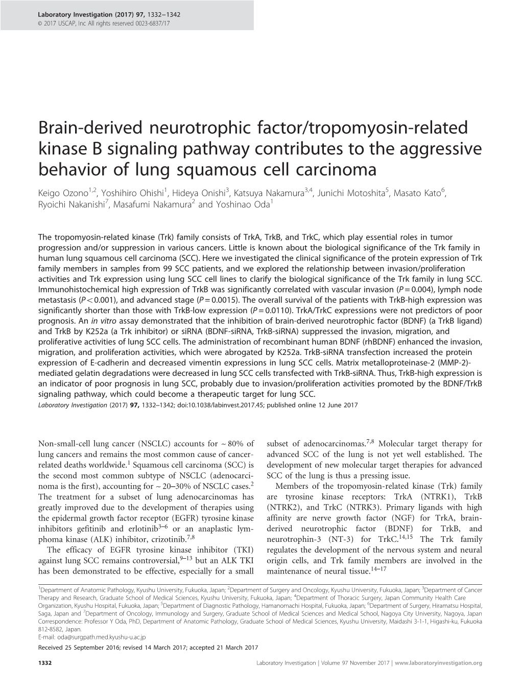 Tropomyosin-Related Kinase B Signaling Pathway Contributes to The